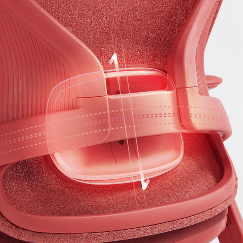Lumbar Support