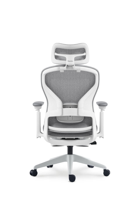 Aura Ergonomic Chair