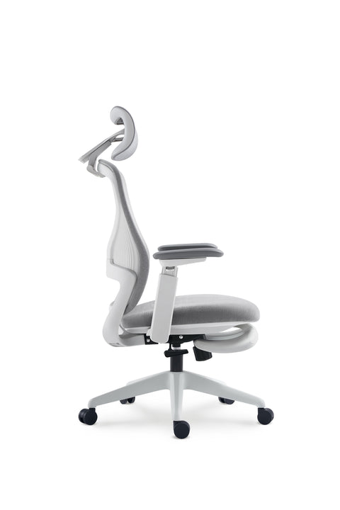 Aura Ergonomic Chair