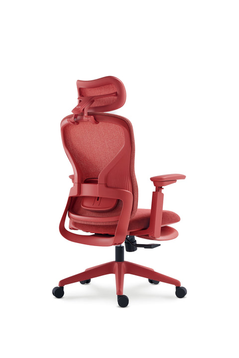 Aura Ergonomic Chair