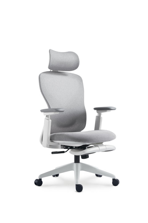 Aura Ergonomic Chair