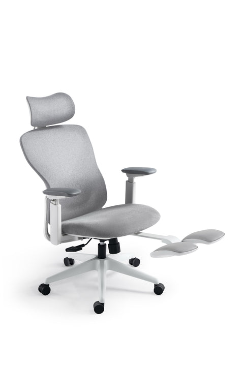 Aura Ergonomic Chair