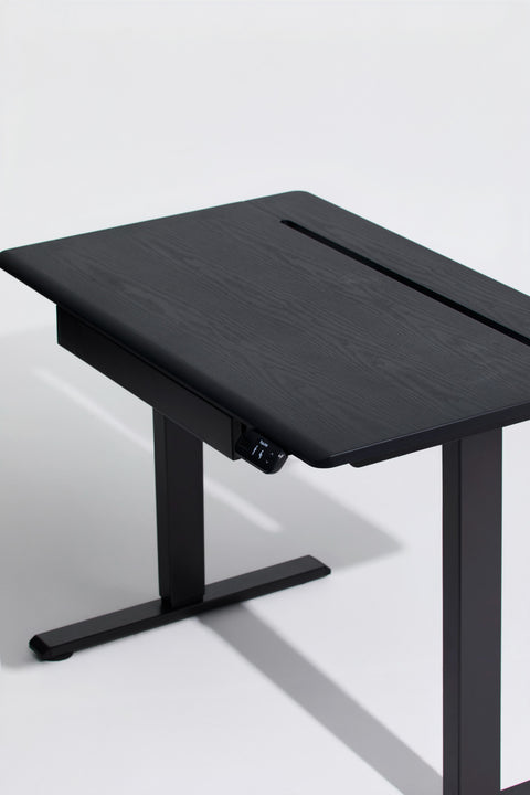AnyDesk Hub Electric Sit-To-Stand Desk