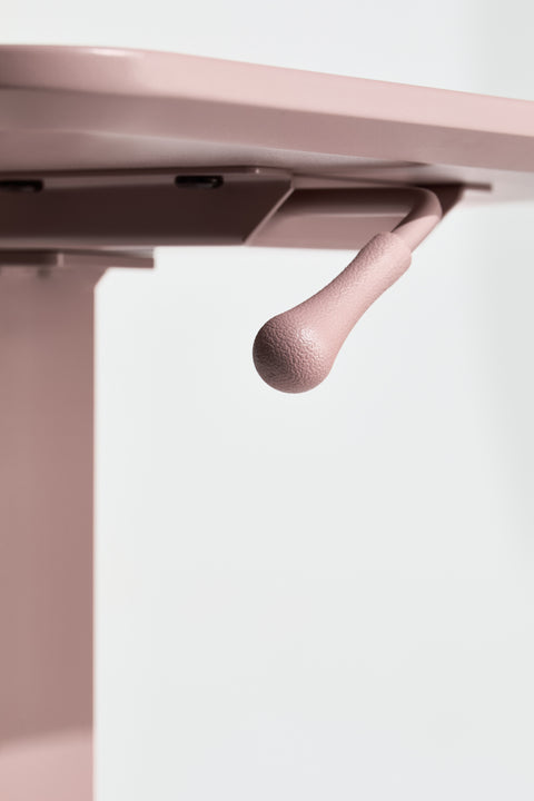 AnyDesk Nest