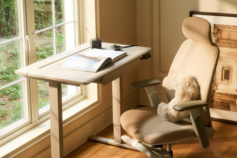 AnyDesk Hub - the Super-Thoughtful Compact Standing Desk