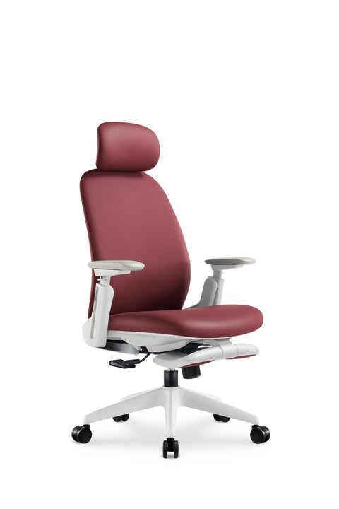 Napa Ergonomic Chair