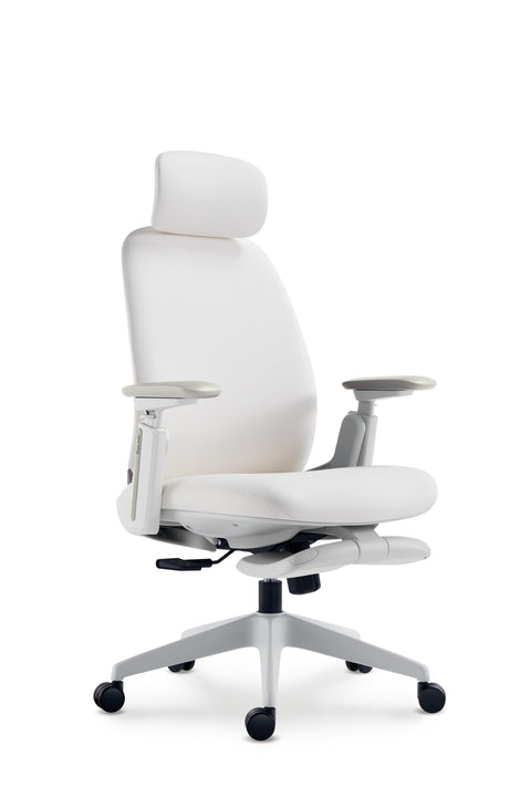 Napa Ergonomic Chair