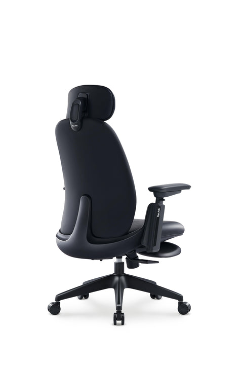 Napa Ergonomic Chair