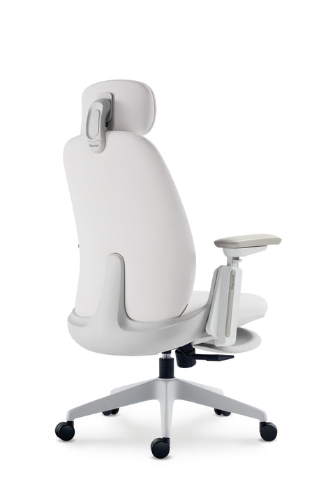 Napa Ergonomic Chair