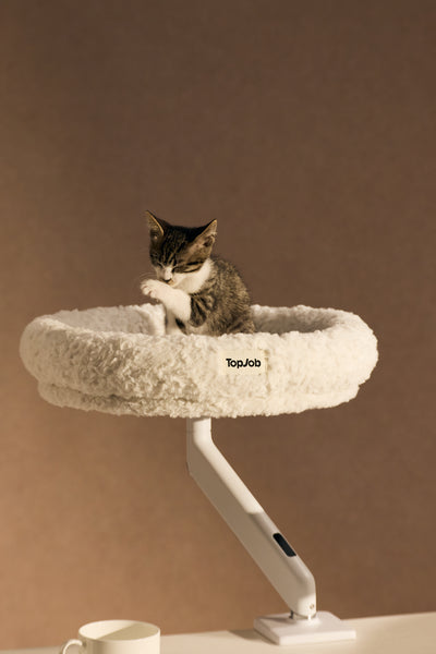 Pawdium Desk-Mounted Cat Nest