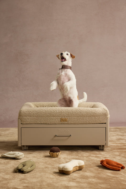 Pawffice