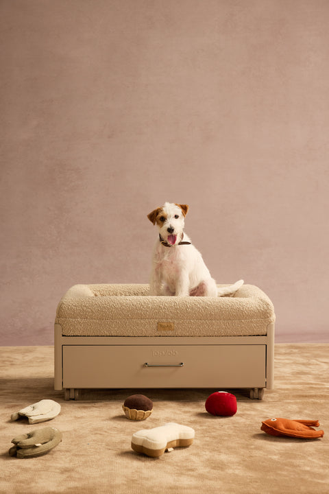 Pawffice