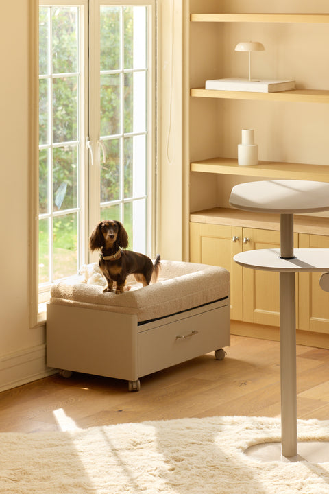 Pawffice