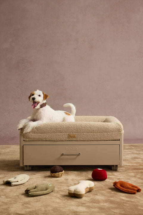 Pawffice Orthopedic Bed