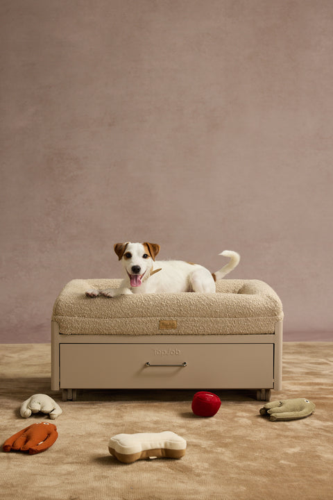 Pawffice Orthopedic Bed