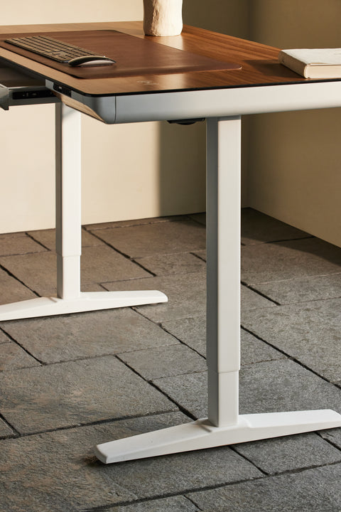 Ripple Wellness Motion Standing Desk