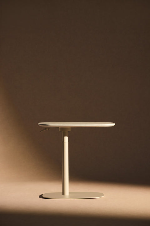 AnyDesk Spin