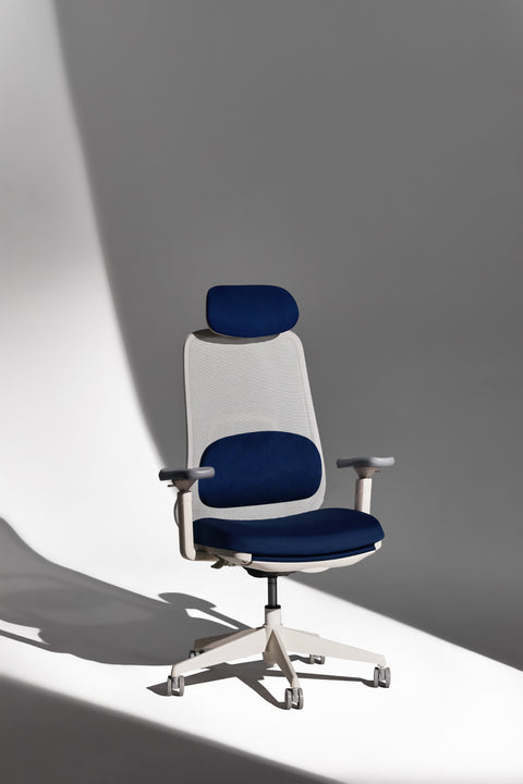 VOYA Ergonomic Chair