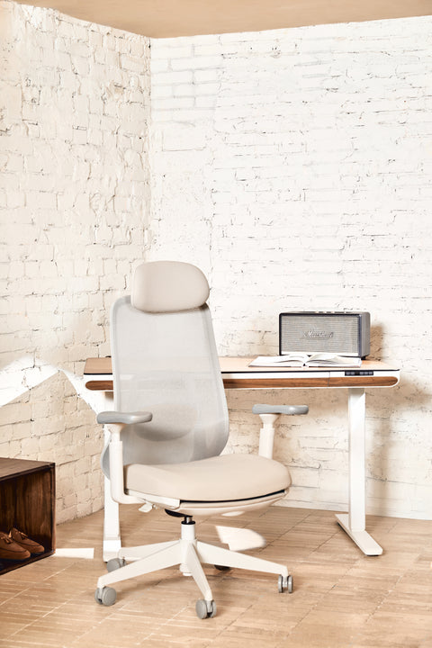VOYA Ergonomic Chair