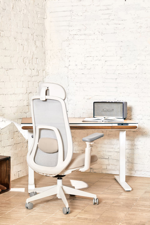 VOYA Ergonomic Chair
