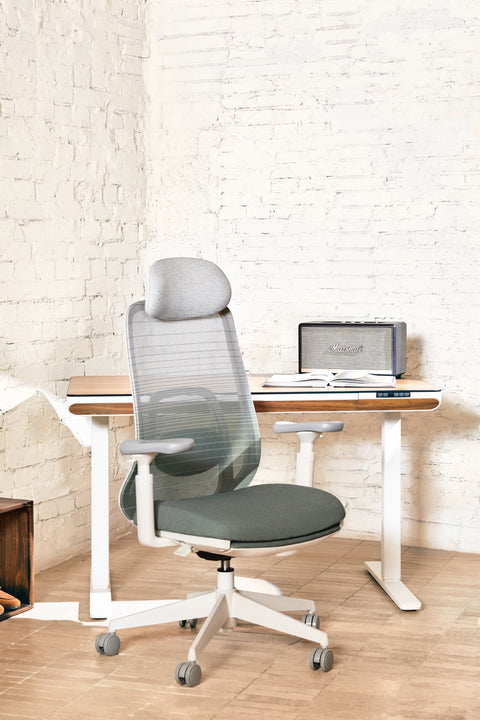 VOYA Ergonomic Chair