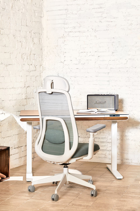 VOYA Ergonomic Chair