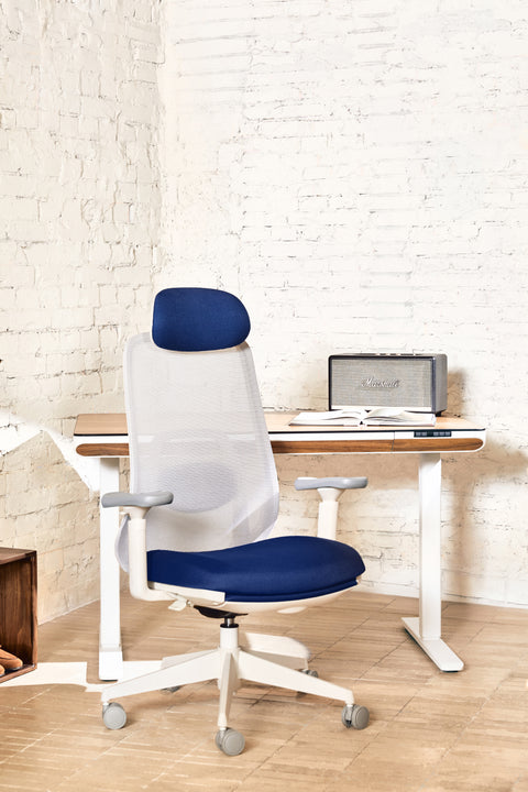 VOYA Ergonomic Chair