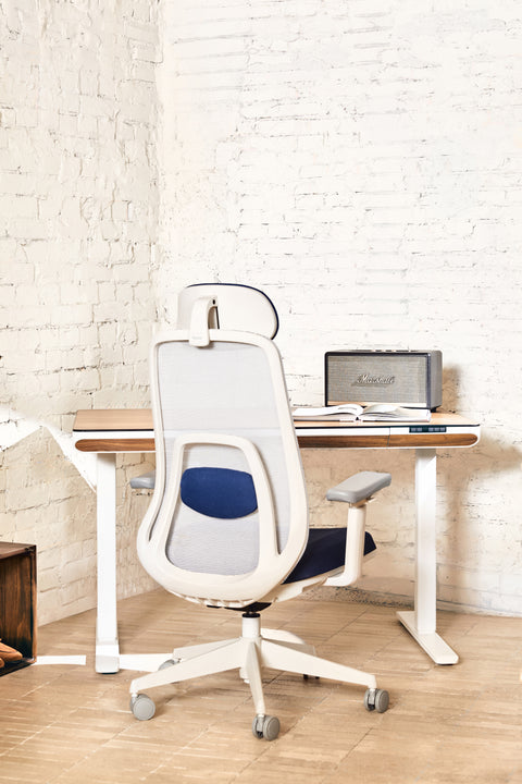 VOYA Ergonomic Chair