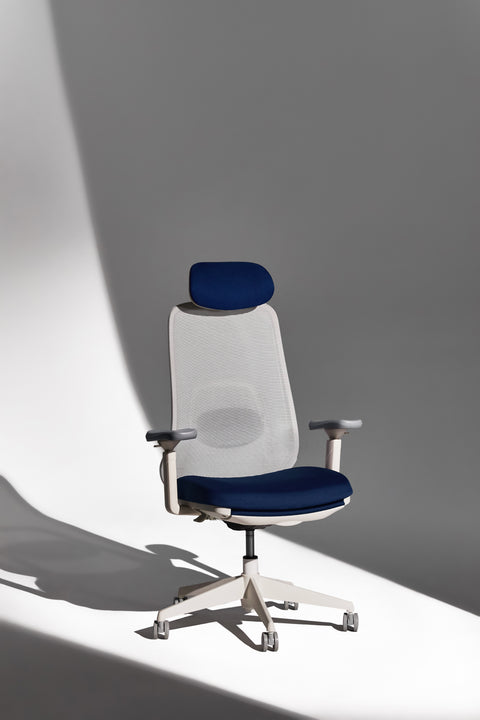 VOYA Ergonomic Chair