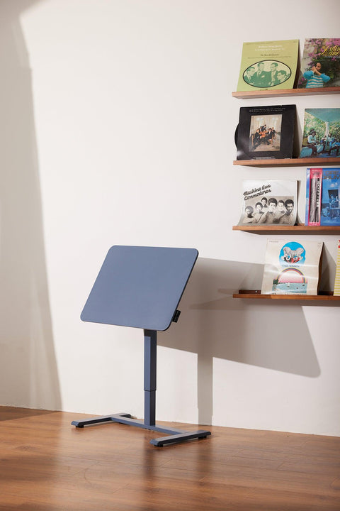 AnyDesk Fold