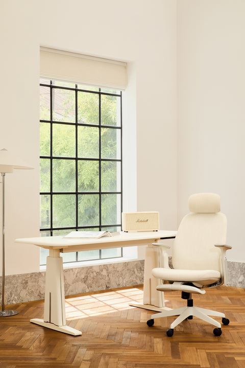 Napa Ergonomic Chair
