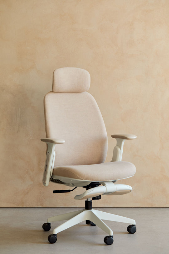 Napa Ergonomic Chair