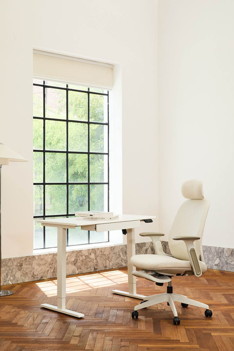 Anydesk Hub Electric Sit-To-Stand desk
