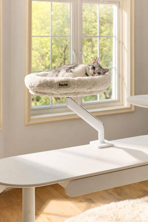 Pawdium Desk-Mounted Cat Nest Set