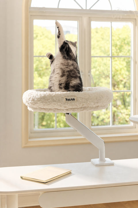 Pawdium Desk-Mounted Cat Nest Set