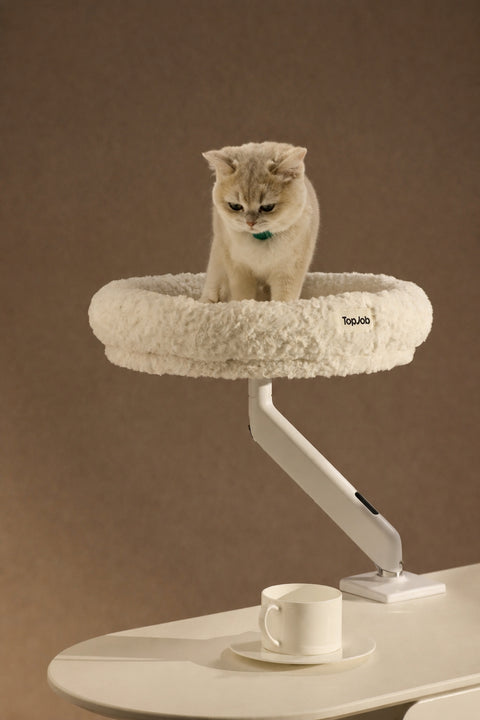 Pawdium Desk-Mounted Cat Nest Set