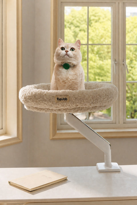 Pawdium Desk-Mounted Cat Nest Set