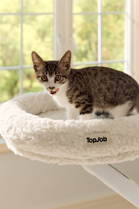 Pawdium Desk-Mounted Cat Nest
