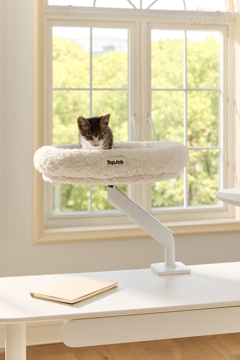 Pawdium Desk-Mounted Cat Nest