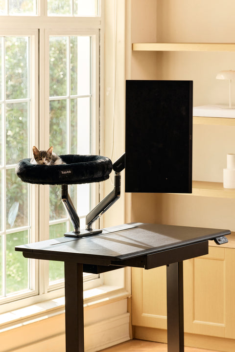 Pawdium Desk-Mounted Cat Nest
