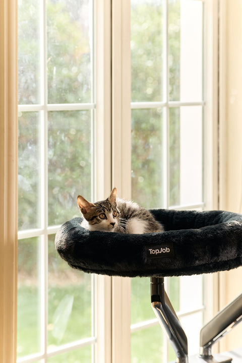 Pawdium Desk-Mounted Cat Nest