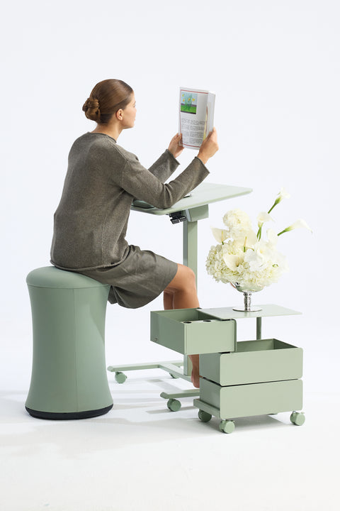 Steel Caddy 360