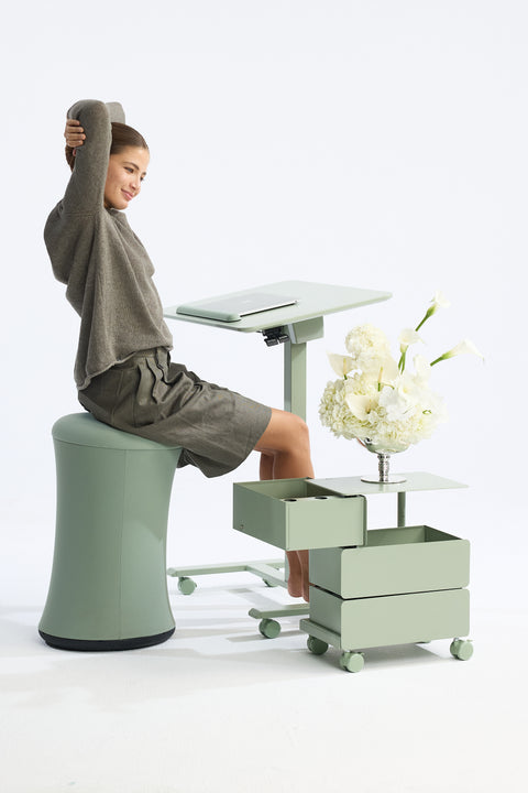 Steel Caddy 360