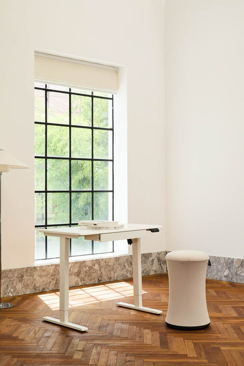 Anydesk Hub Electric Sit-To-Stand desk