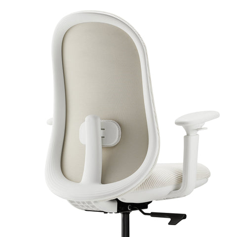Adjustable Lumbar Support