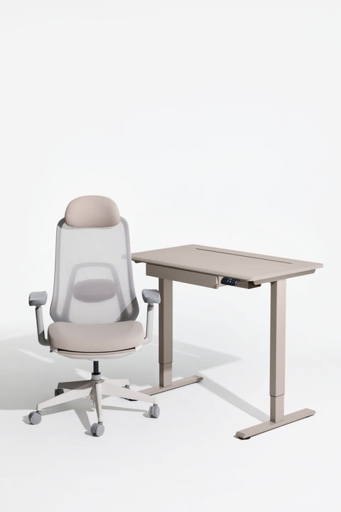 AnyDesk Hub Electric Sit-To-Stand Desk