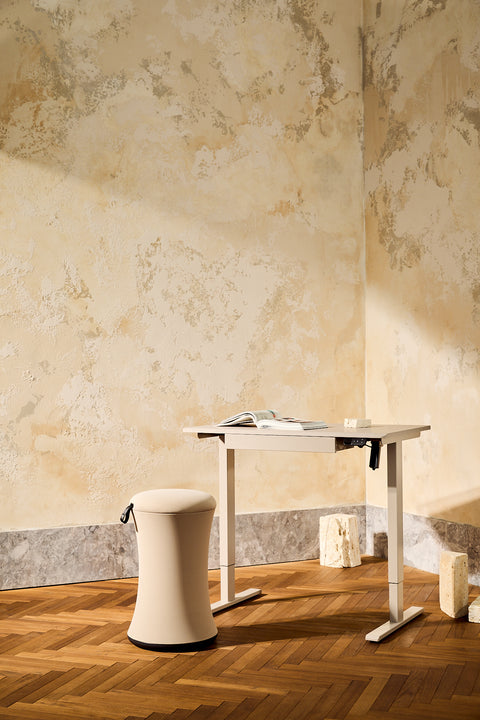 Anydesk Hub Electric Sit-To-Stand desk