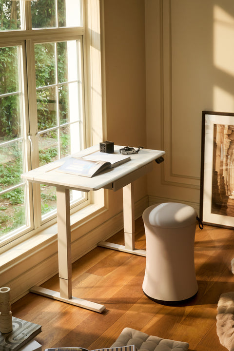 AnyDesk Hub Electric Sit-To-Stand Desk