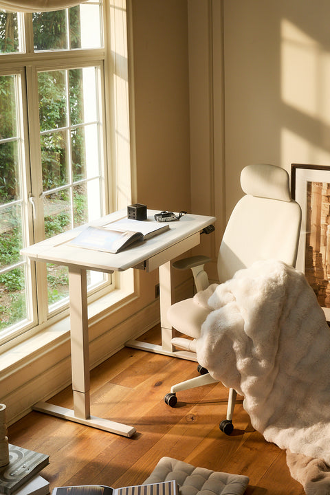 Anydesk Hub Electric Sit-To-Stand desk