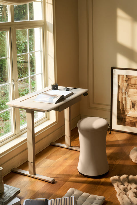AnyDesk Hub Electric Sit-To-Stand Desk